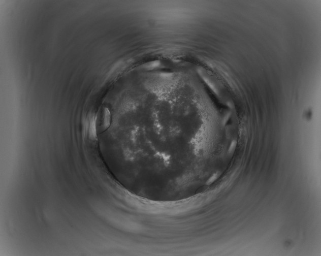 X0000100750046200807031346