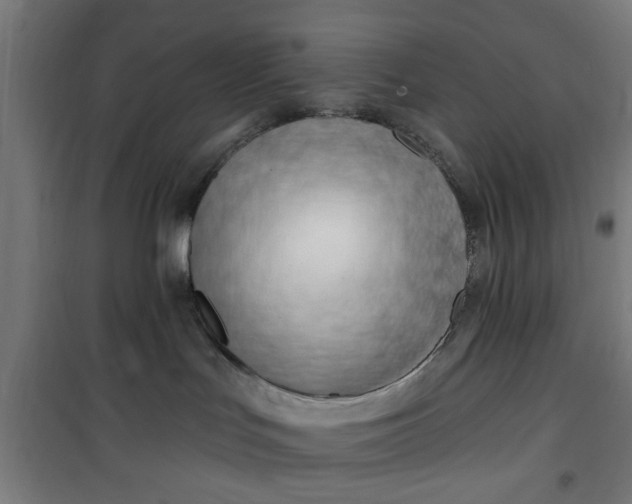 X0000100750047200807031346