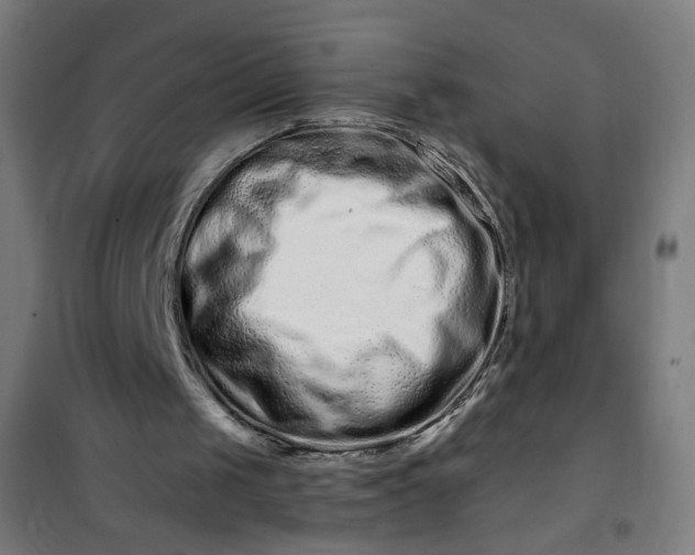 X0000100750049200807031346