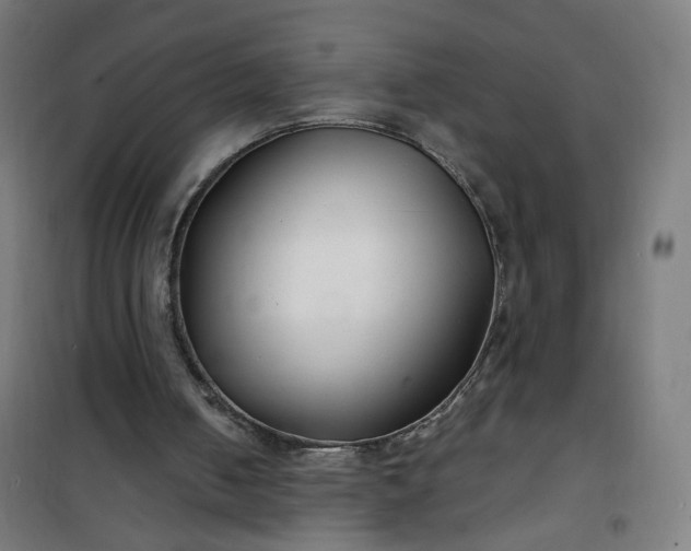 X0000100750050200807031346