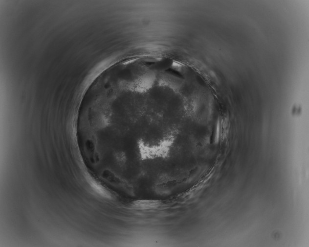 X0000100750051200807031346