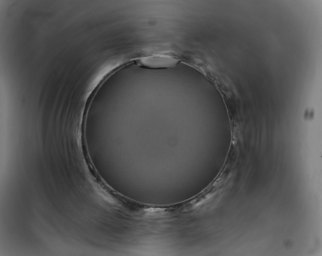 X0000100750052200807031346