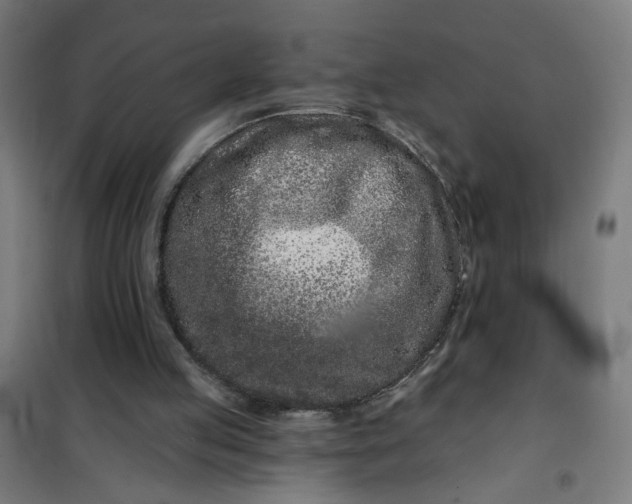 X0000100750053200807031346