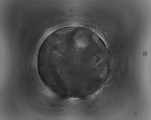 X0000100750055200807031346