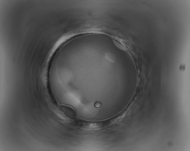 X0000100750056200807031346