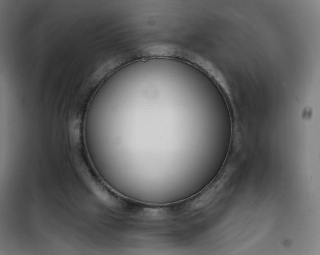 X0000100750057200807031346