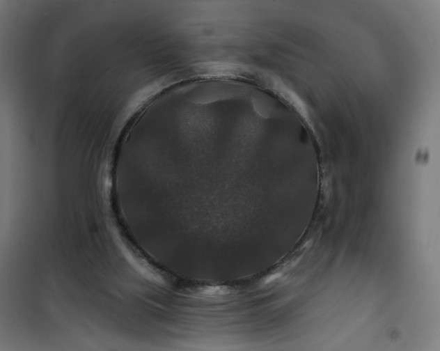 X0000100750059200807031346