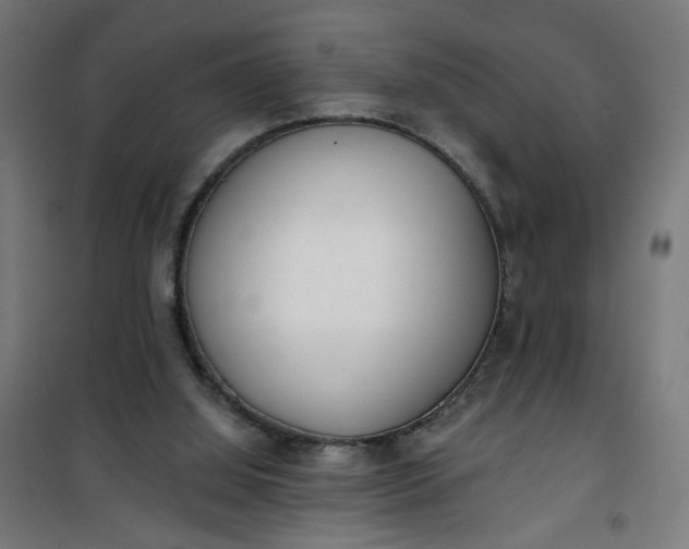 X0000100750060200807031346