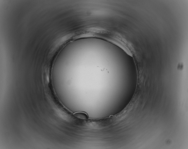 X0000100750062200807031346