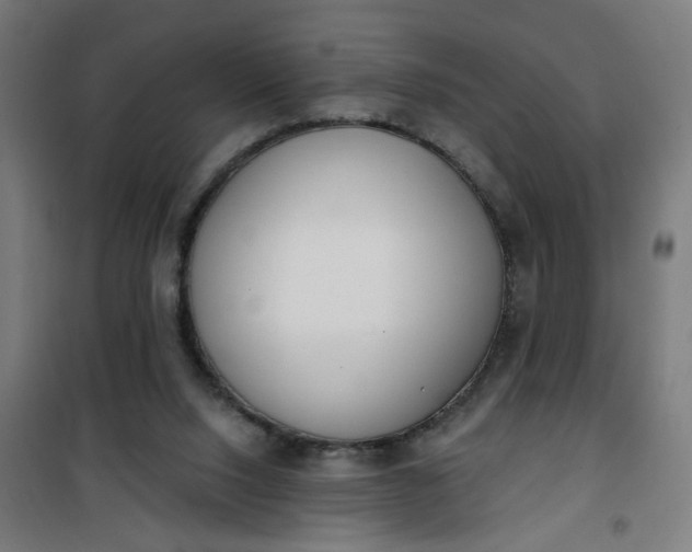 X0000100750064200807031346