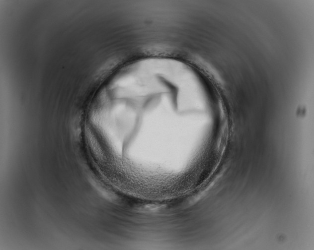 X0000100750065200807031346