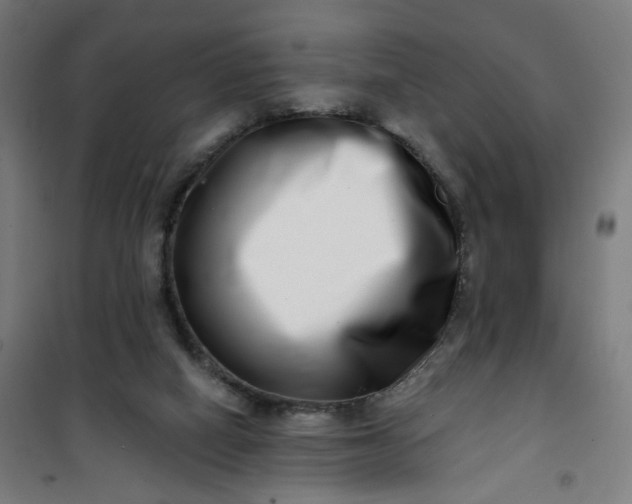 X0000100750066200807031346