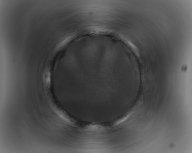 X0000100750067200807031346