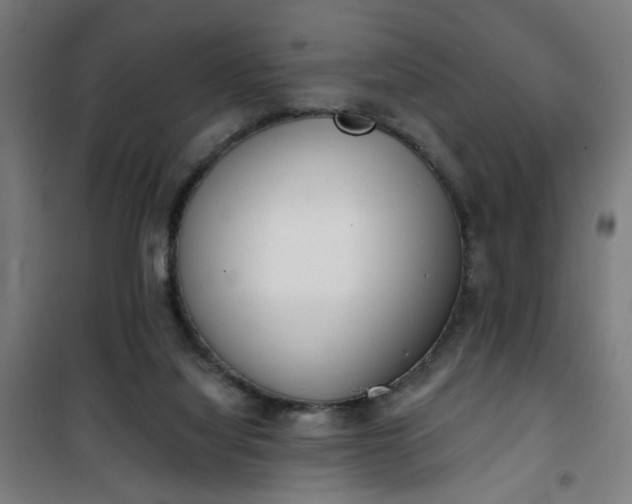 X0000100750068200807031346