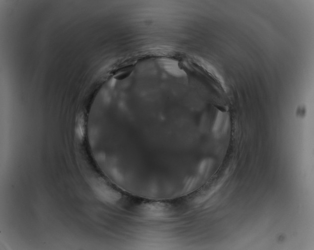 X0000100750069200807031346