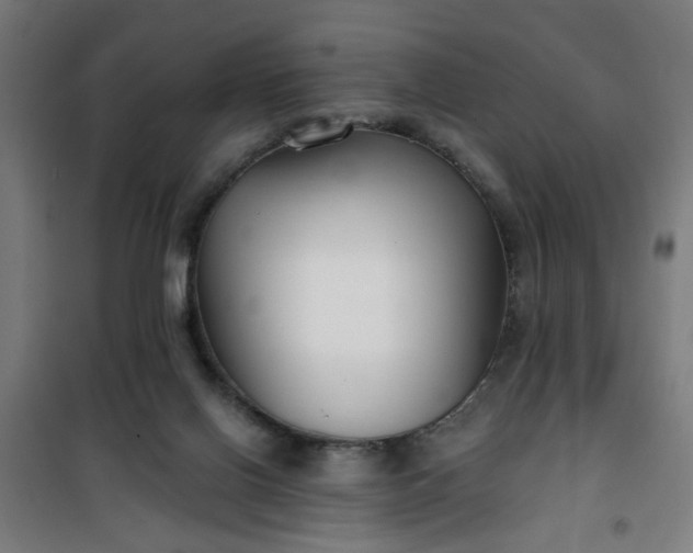 X0000100750070200807031346