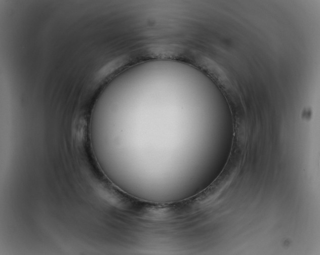 X0000100750071200807031346