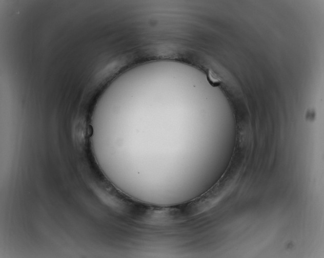 X0000100750072200807031346