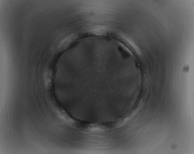 X0000100750073200807031346