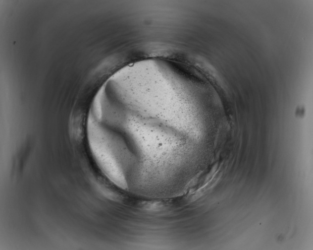 X0000100750074200807031346