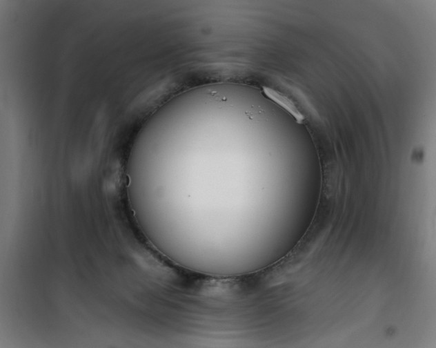 X0000100750077200807031346