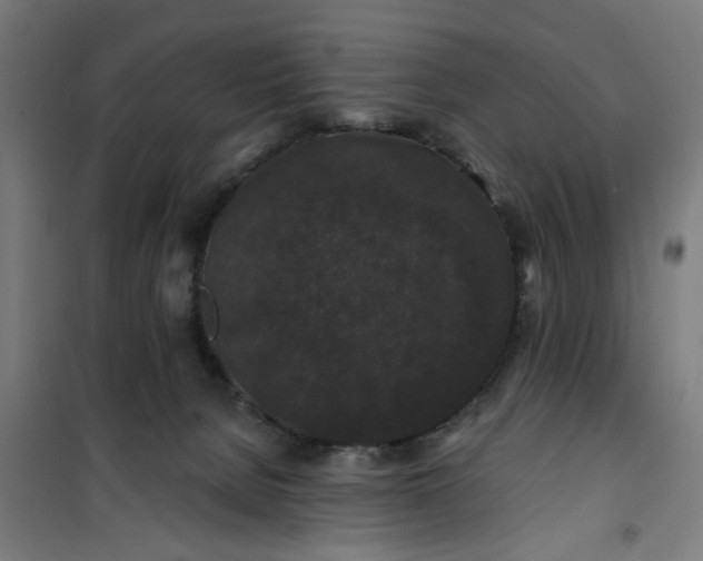 X0000100750080200807031346