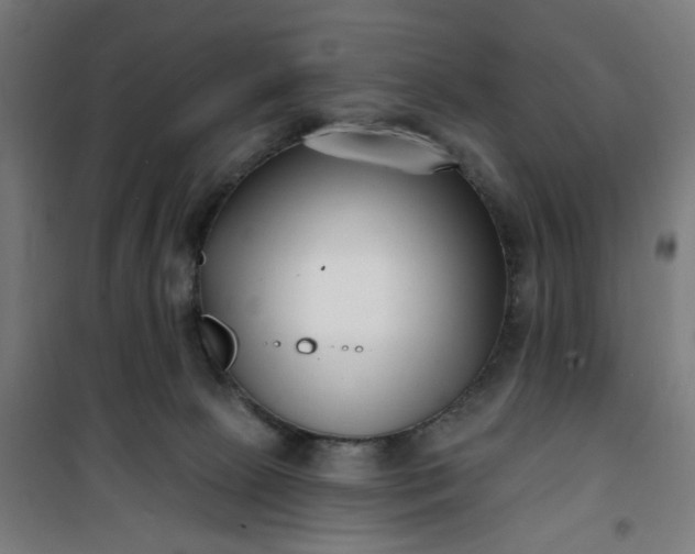 X0000100750081200807031346