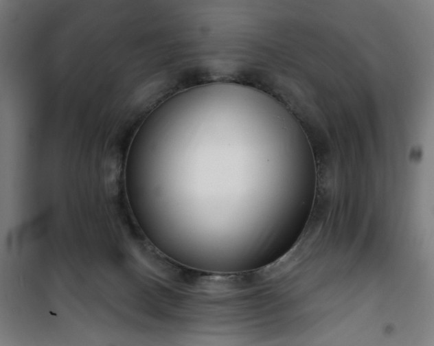 X0000100750082200807031346