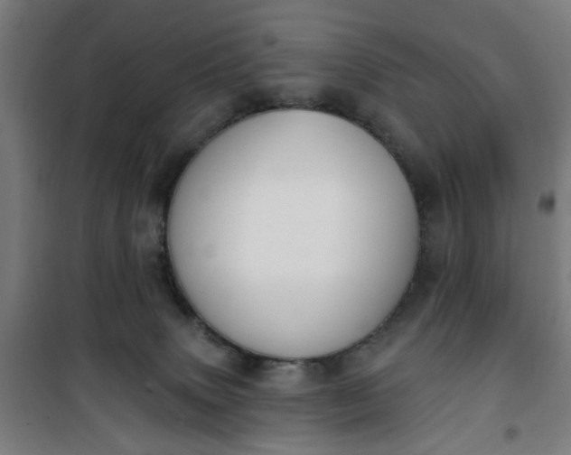 X0000100750083200807031346