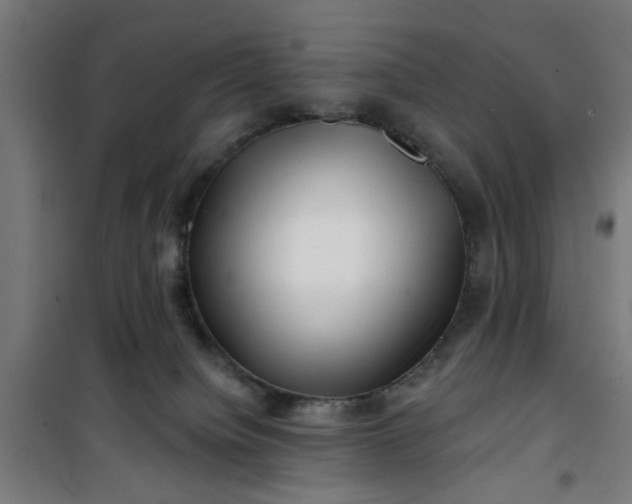 X0000100750084200807031346