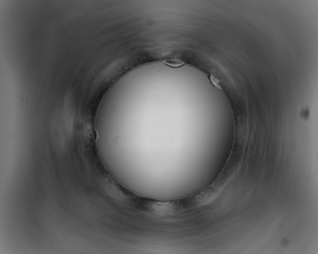 X0000100750085200807031346