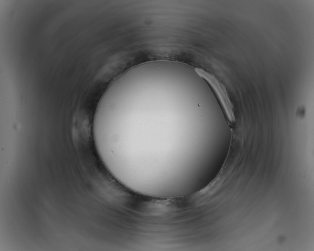 X0000100750086200807031346