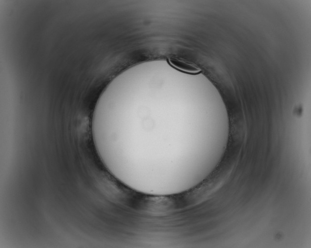 X0000100750087200807031346