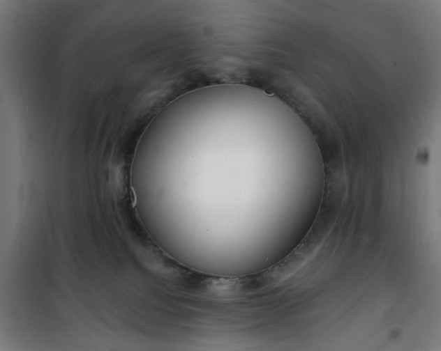 X0000100750088200807031346