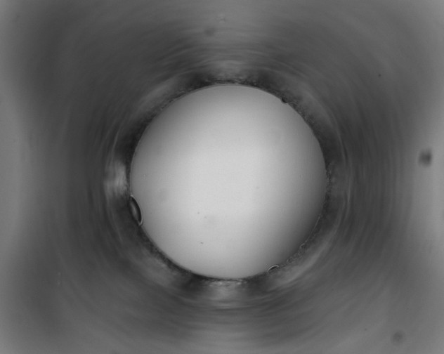 X0000100750089200807031346