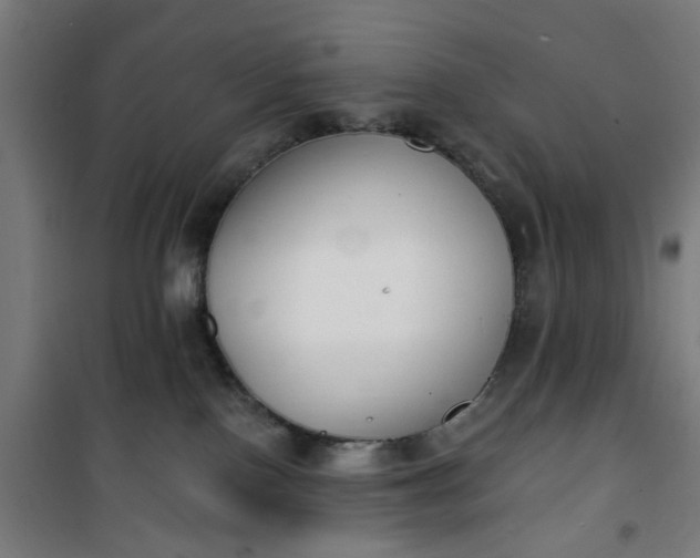 X0000100750090200807031346