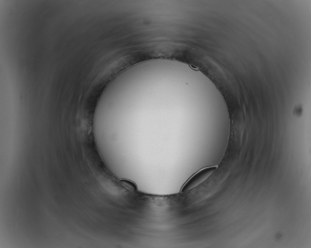 X0000100750091200807031346