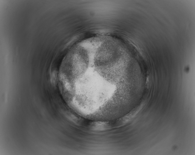 X0000100750093200807031346