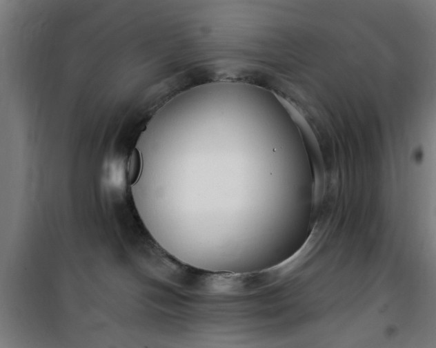 X0000100750094200807031346