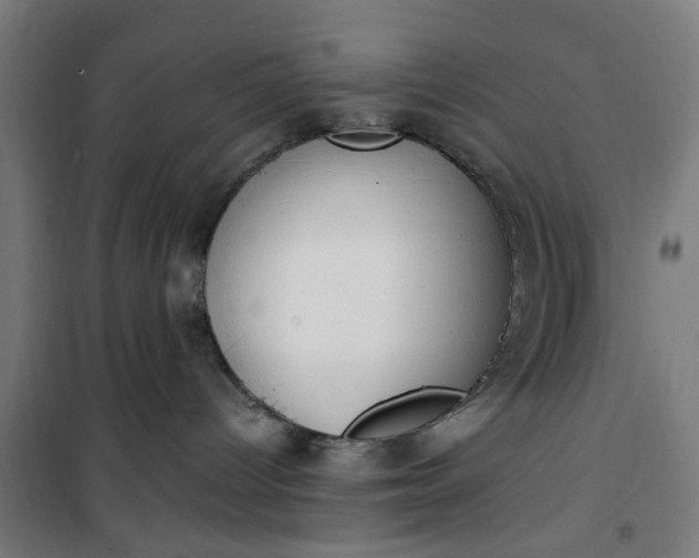 X0000100750096200807031346