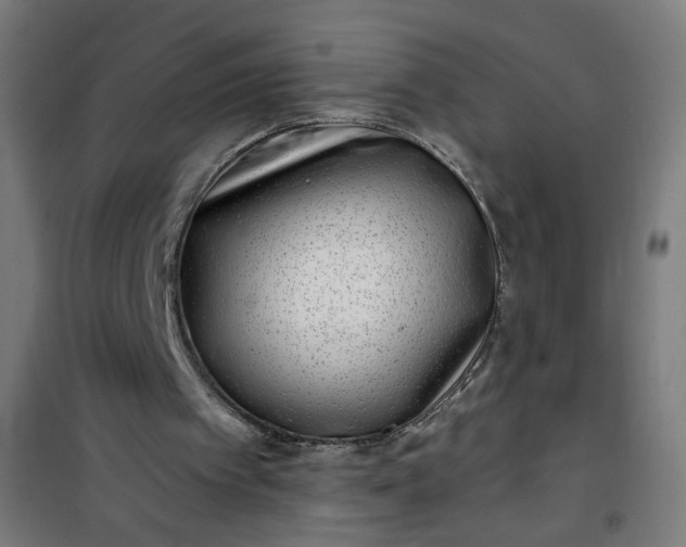 X0000100750097200807031346