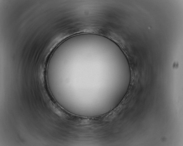 X0000100750098200807031346