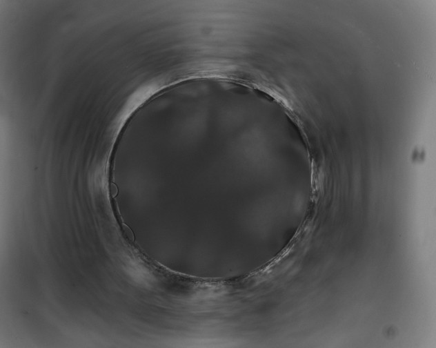 X0000100750099200807031345