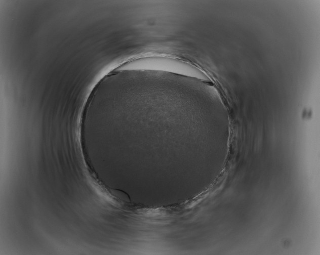 X0000100750100200807031345