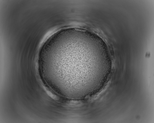 X0000100750101200807031345