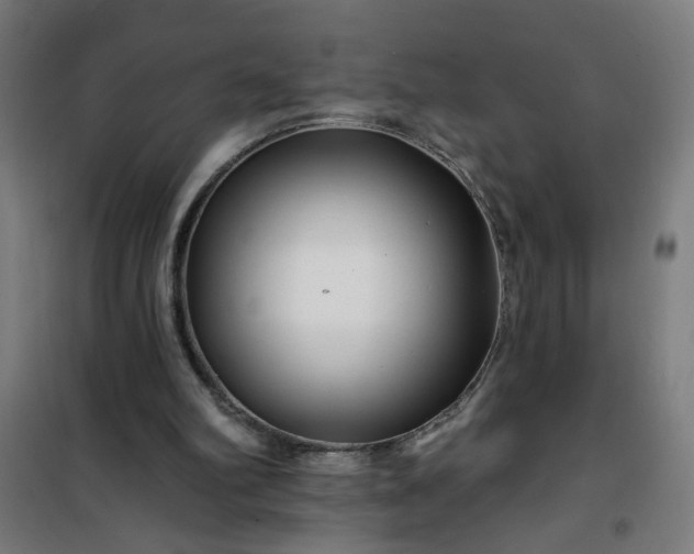 X0000100750102200807031345