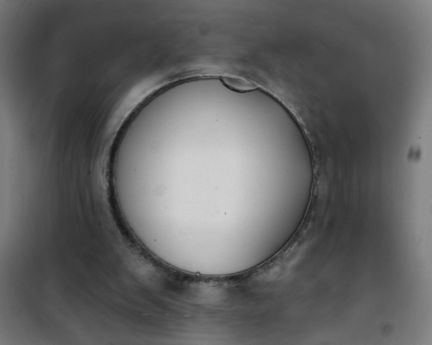 X0000100750103200807031345