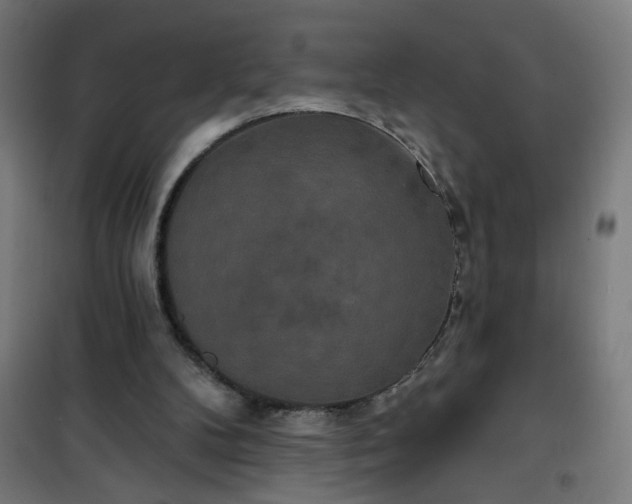 X0000100750104200807031345