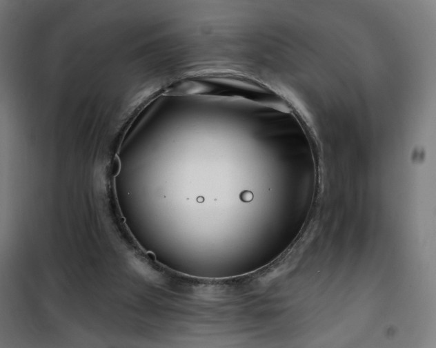 X0000100750105200807031345