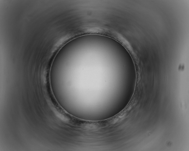 X0000100750106200807031345